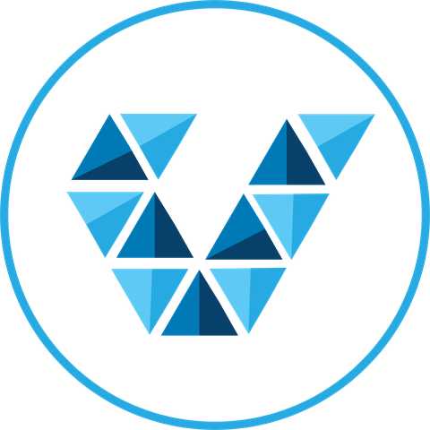 Valyou Solutions logo